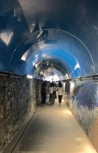 Riomaggiore Tunnel