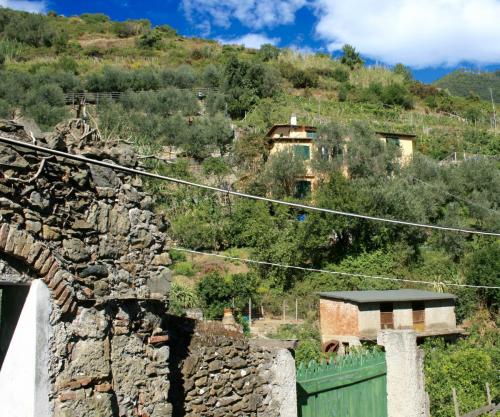 Monterosso al Mare View