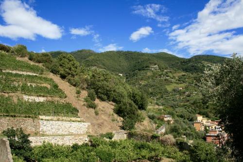 Monterosso al Mare View