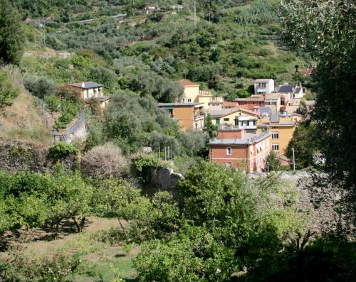 Monterosso al Mare View