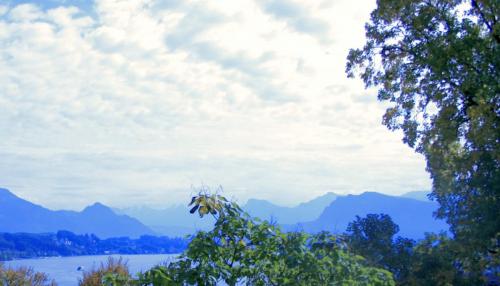 Lake Lucerne and Swiss Alps from Musegg Wall