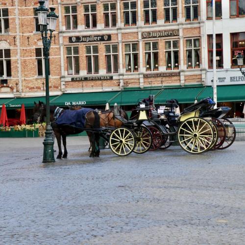 Horse and Buggy in Bruges Markt